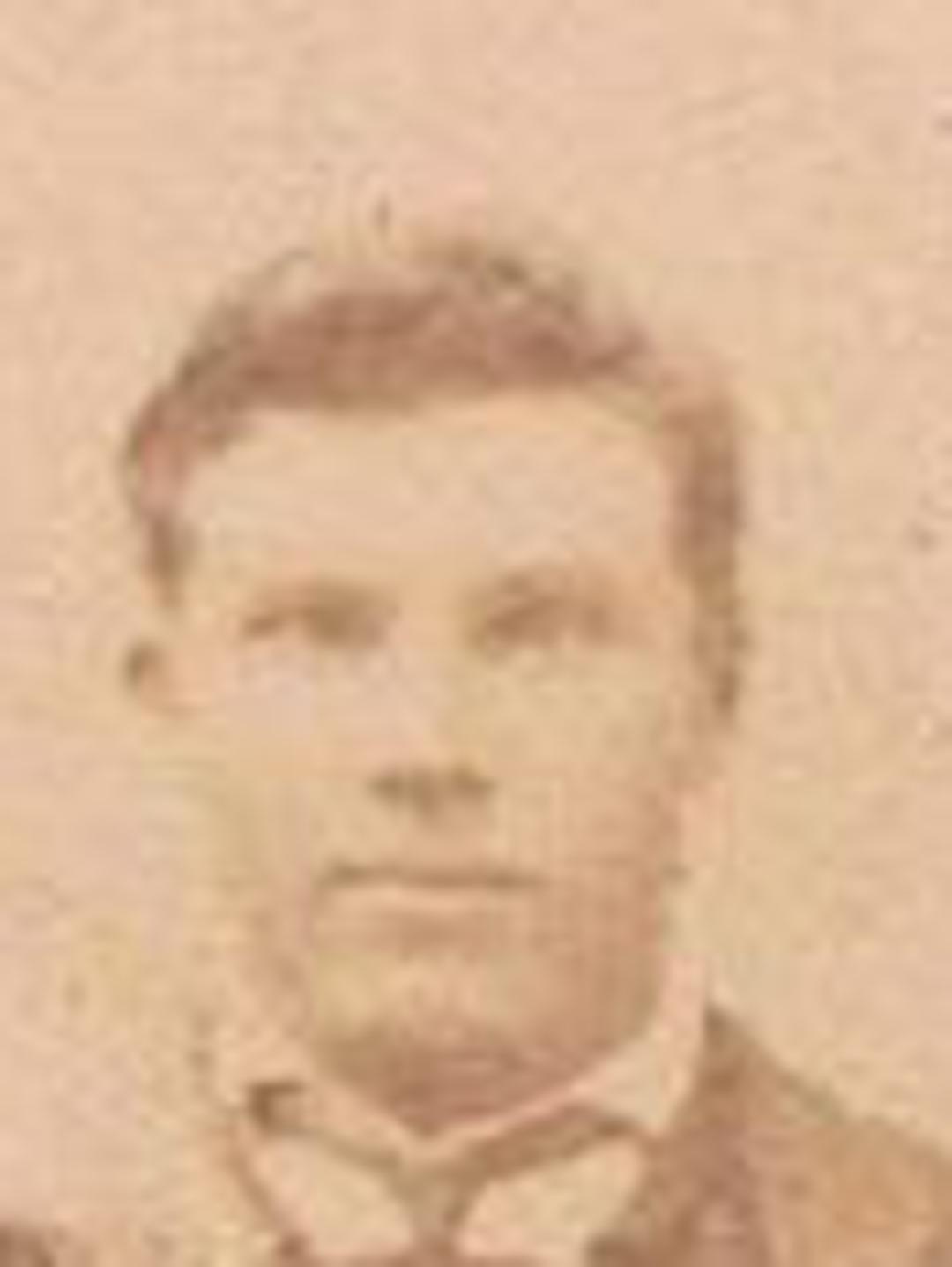 William Silas Harris (1850 - 1932) Profile